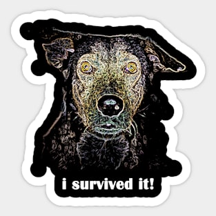 my dog is the best Sticker
